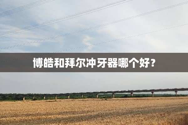 博皓和拜尔冲牙器哪个好？