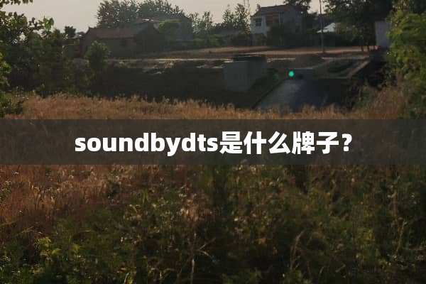 soundbydts是什么牌子？