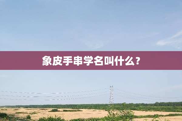 象皮手串学名叫什么？