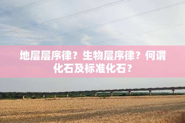 地层层序律？生物层序律？何谓化石及标准化石？