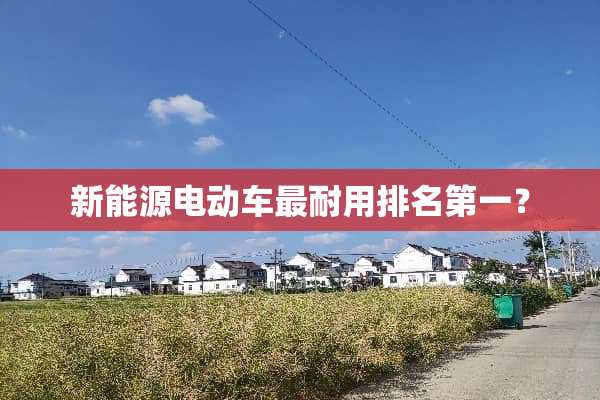 新能源电动车最耐用排名第一？