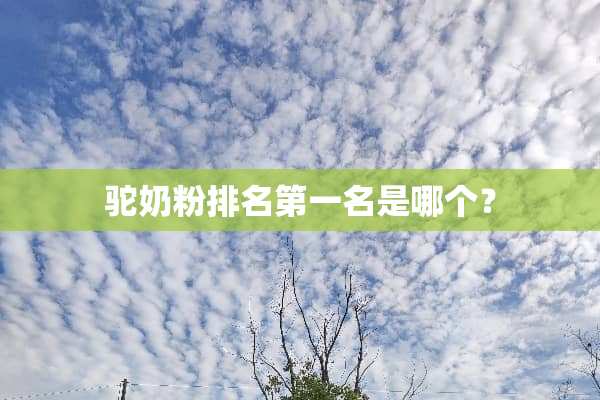 驼奶粉排名第一名是哪个？