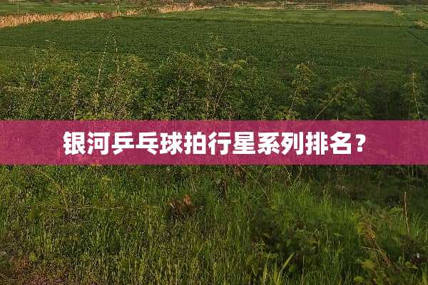 银河乒乓球拍行星系列排名？