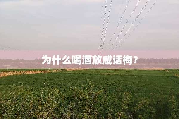 为什么喝酒放咸话梅？
