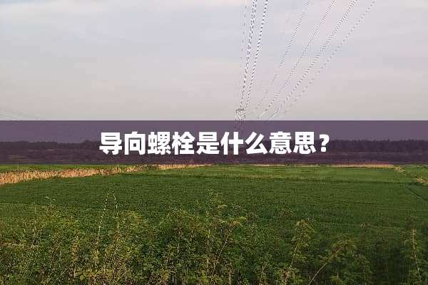 导向螺栓是什么意思？