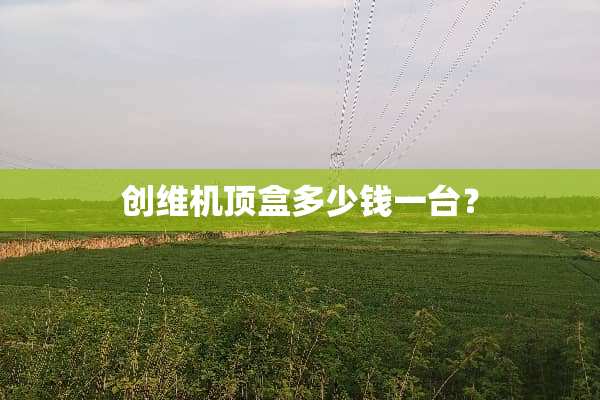 创维机顶盒多少钱一台？