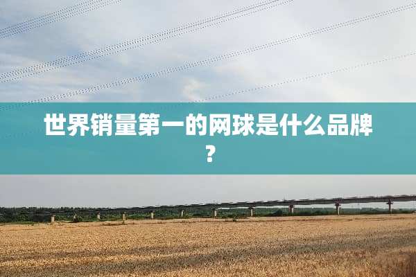 世界销量第一的网球是什么品牌？