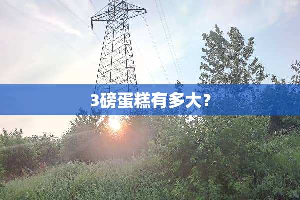 3磅蛋糕有多大？