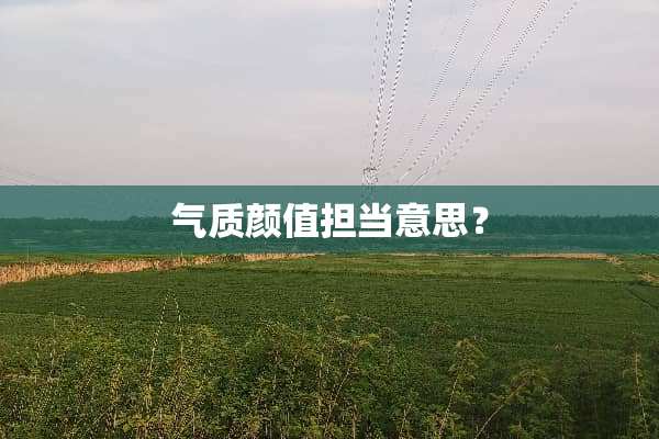 气质颜值担当意思？