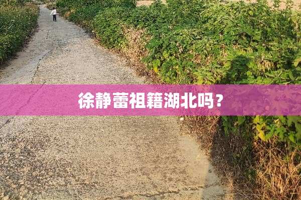 徐静蕾祖籍湖北吗？
