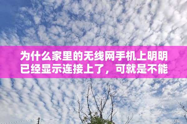 为什么家里的无线网手机上明明已经显示连接上了，可就是不能用是怎么回事？