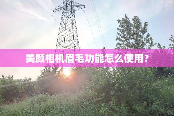 美颜相机眉毛功能怎么使用？