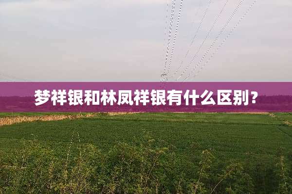 梦祥银和林凤祥银有什么区别？