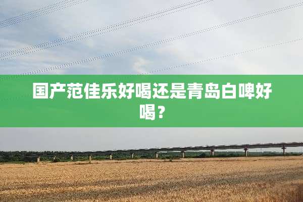 国产范佳乐好喝还是青岛白啤好喝？