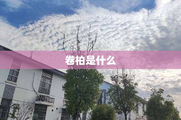 卷柏是什么