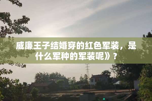 威廉王子结婚穿的红色军装，是什么军种的军装呢》？