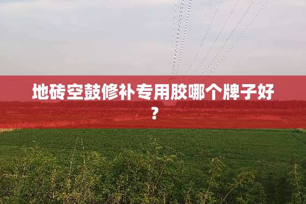 地砖空鼓修补专用胶哪个牌子好？