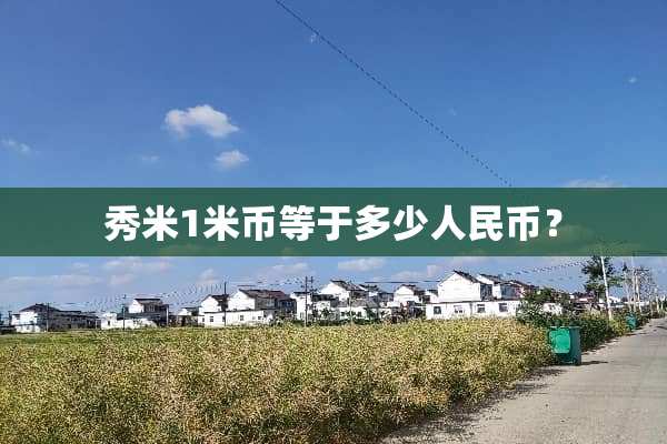 秀米1米币等于多少人民币？