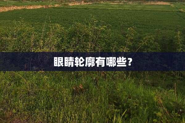 眼睛轮廓有哪些？