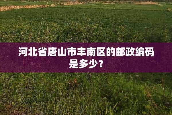 河北省唐山市丰南区的邮政编码是多少？