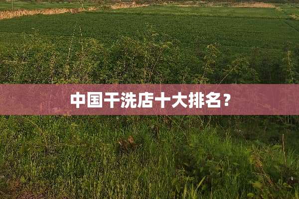 中国干洗店十大排名？