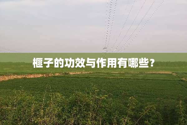 榧子的功效与作用有哪些？