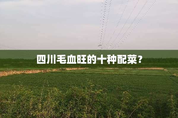 四川毛血旺的十种配菜？