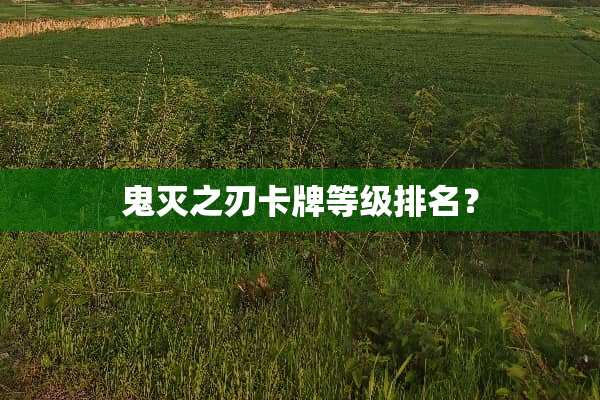 鬼灭之刃卡牌等级排名？