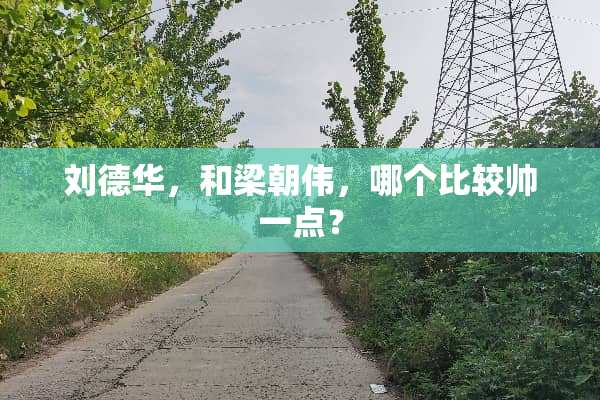 ***，和梁朝伟，哪个比较帅一点？
