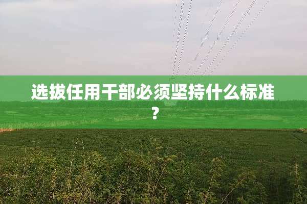 选拔任用干部必须坚持什么标准？