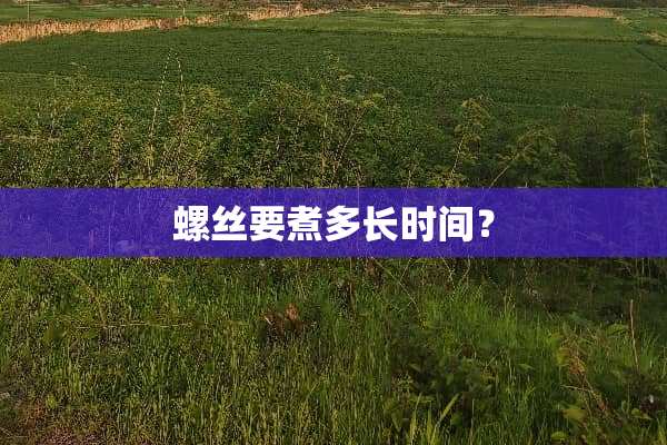 螺丝要煮多长时间？