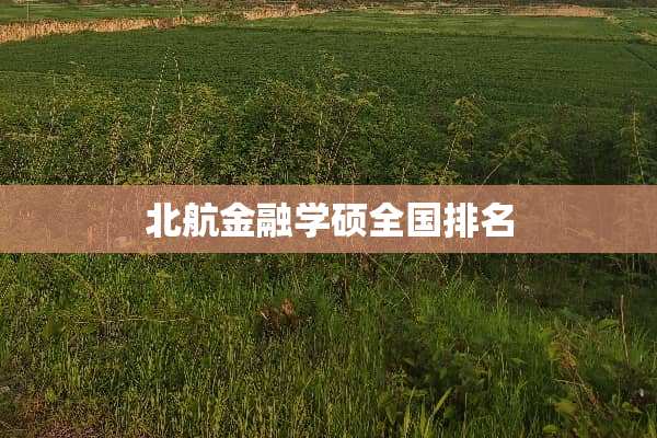 北航金融学硕全国排名