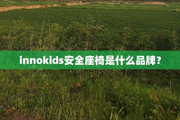 innokids安全座椅是什么品牌？