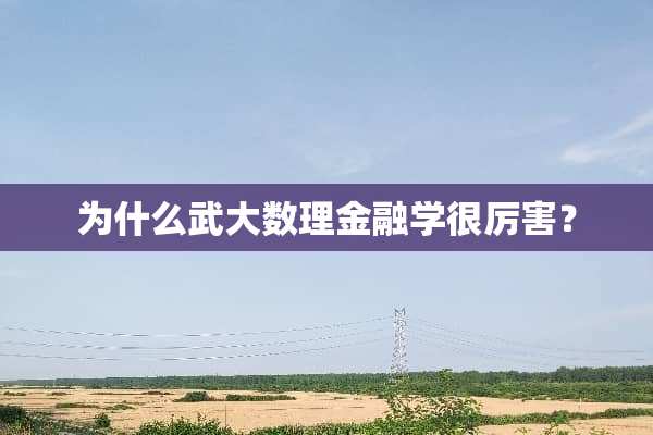 为什么武大数理金融学很厉害？