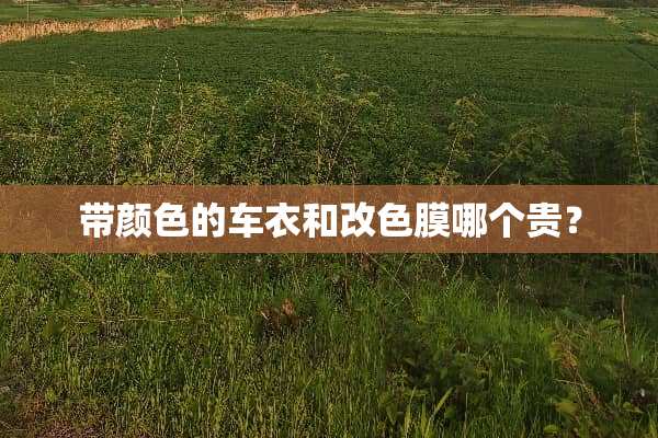 带颜色的车衣和改色膜哪个贵？