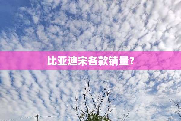 比亚迪宋各款销量？