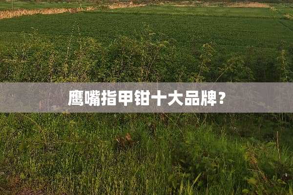 鹰嘴指甲钳十大品牌？