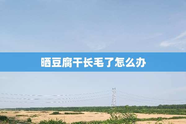 晒豆腐干长毛了怎么办
