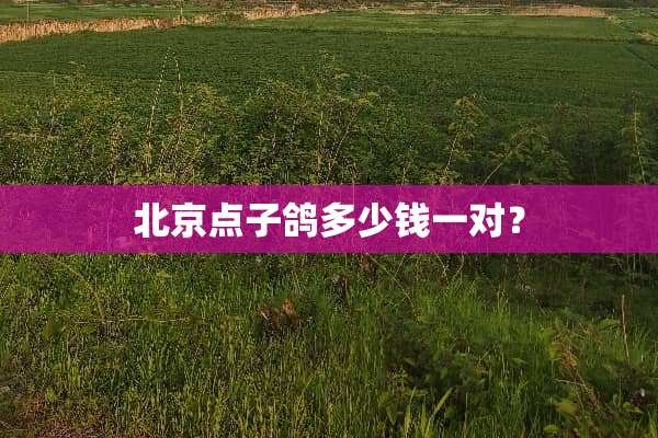 北京点子鸽多少钱一对？