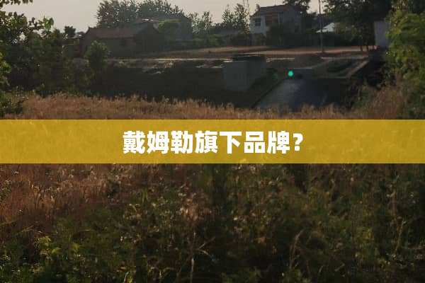 戴姆勒旗下品牌？