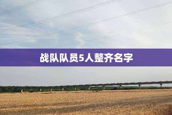 战队队员5人整齐名字