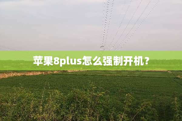 苹果8plus怎么强制开机？