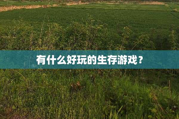 有什么好玩的生存游戏？