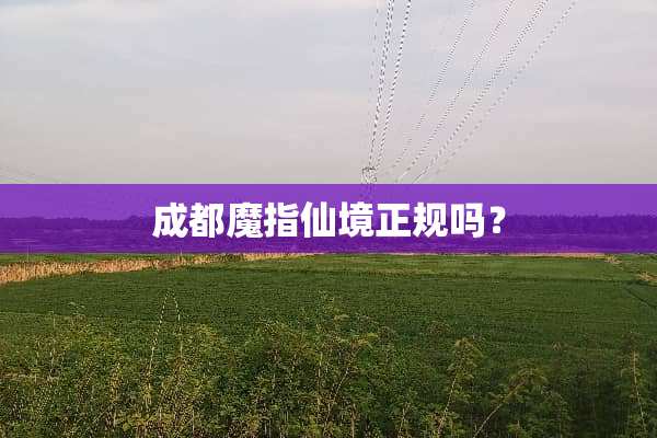 成都魔指仙境正规吗？