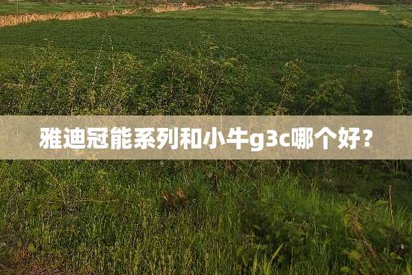 雅迪冠能系列和小牛g3c哪个好？