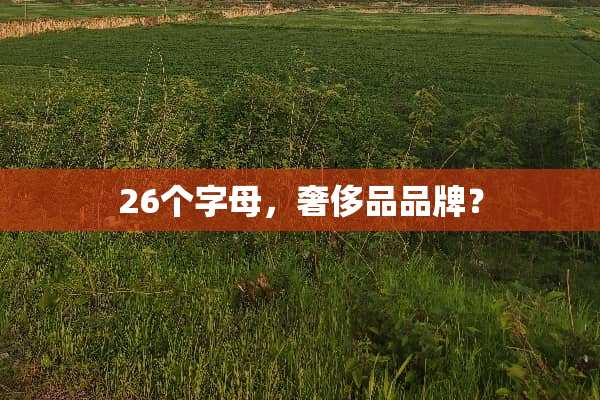 26个字母，奢侈品品牌？