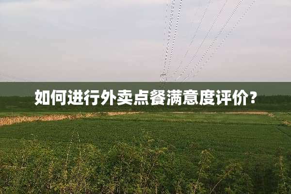 如何进行外卖点餐满意度评价？