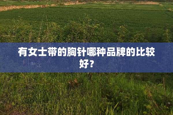 有女士带的胸针哪种品牌的比较好？