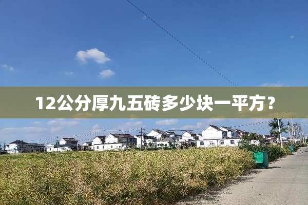 12公分厚九五砖多少块一平方？