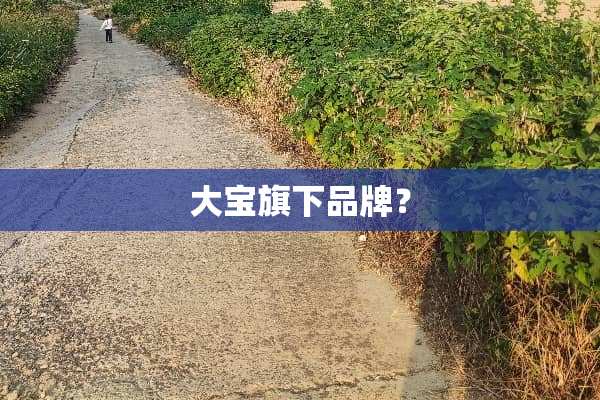 **旗下品牌？